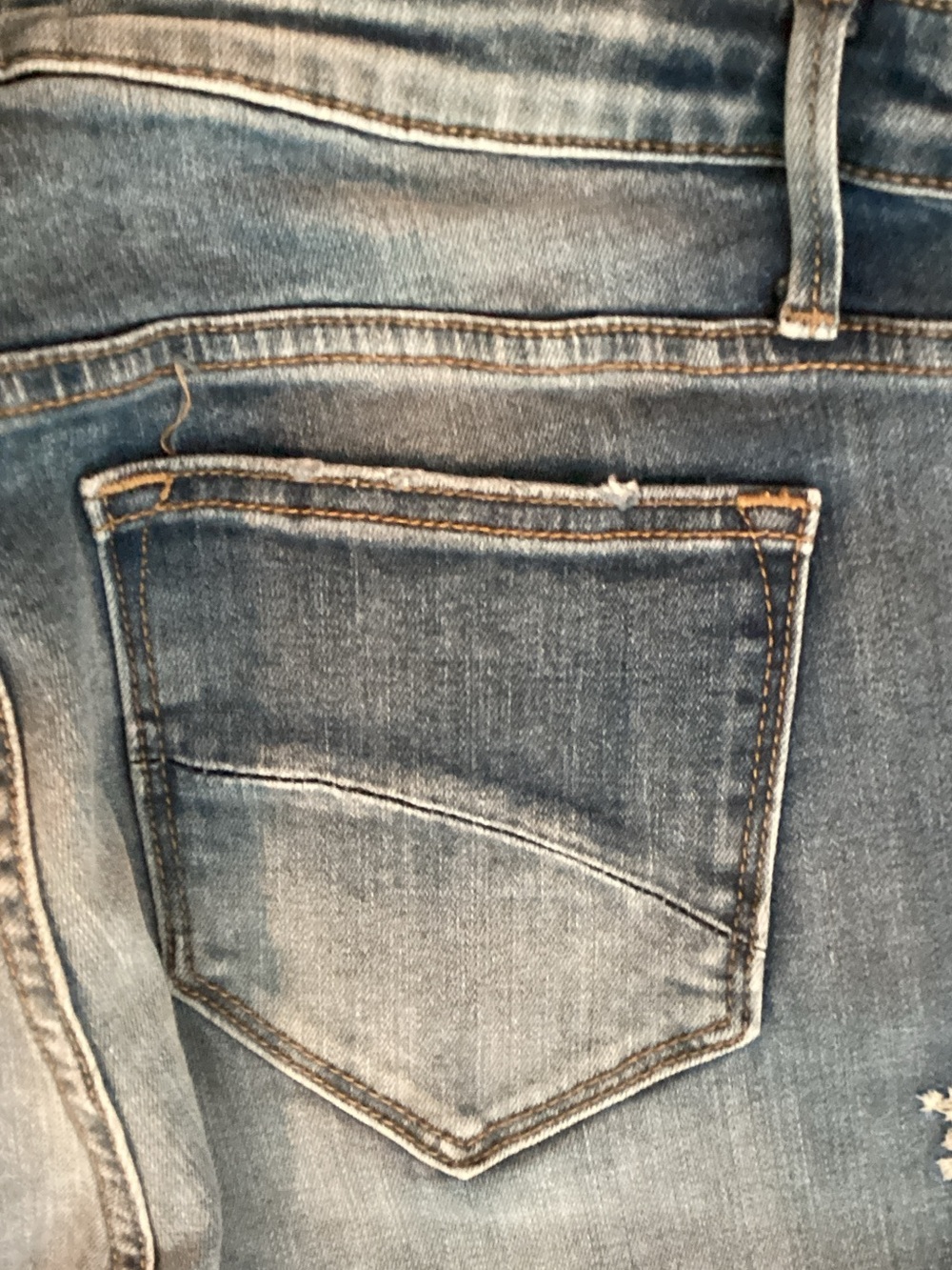DRIFTWOOD Kelly Bootcut Jeans with Floral Embroidery - Picture 8 of 9